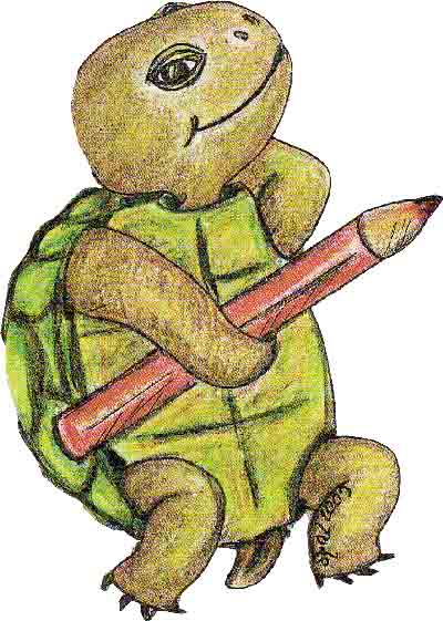 Schildkröte